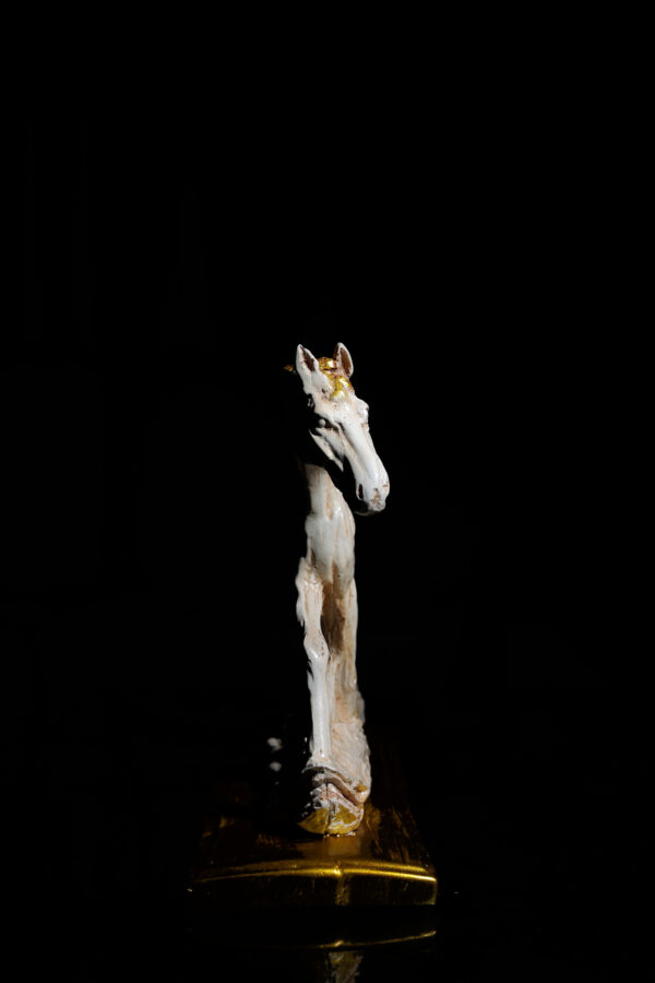 𝙷𝚘𝚛𝚜𝚎 𝚠𝚒𝚝𝚑 𝙱𝚊𝚋𝚢 𝚂𝚑𝚘𝚠𝚙𝚒𝚎𝚌𝚎 - Image 5